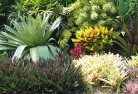 Jetsonvilleplanting-garden-and-landscape-design-24.jpg; ?>
